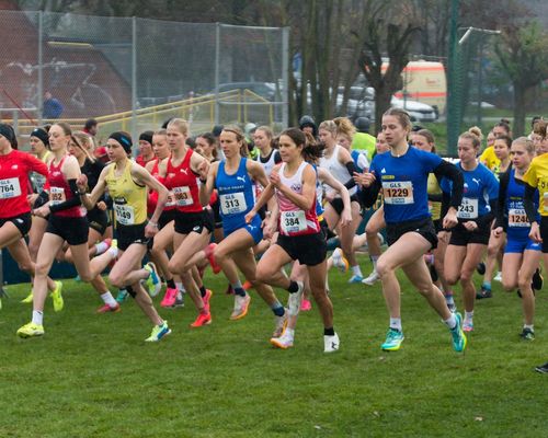 Geballte Crosslauf-Power